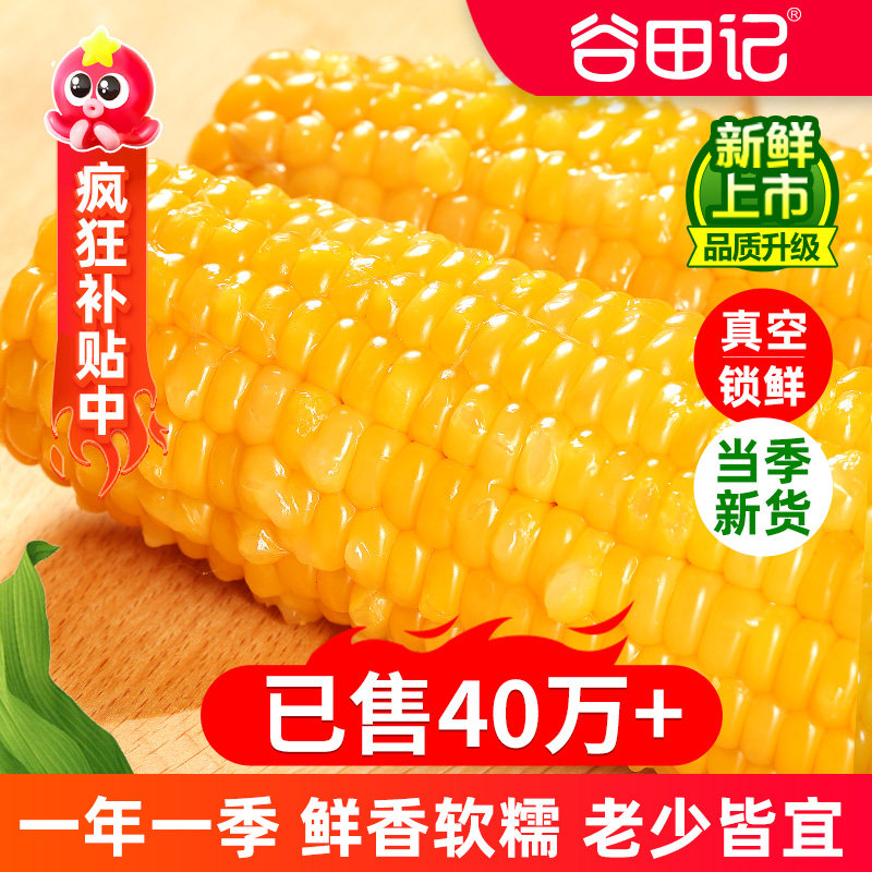 新鲜糯玉米10支黄糯大棒苞米新鲜甜粘真空装早餐非即食东北玉米