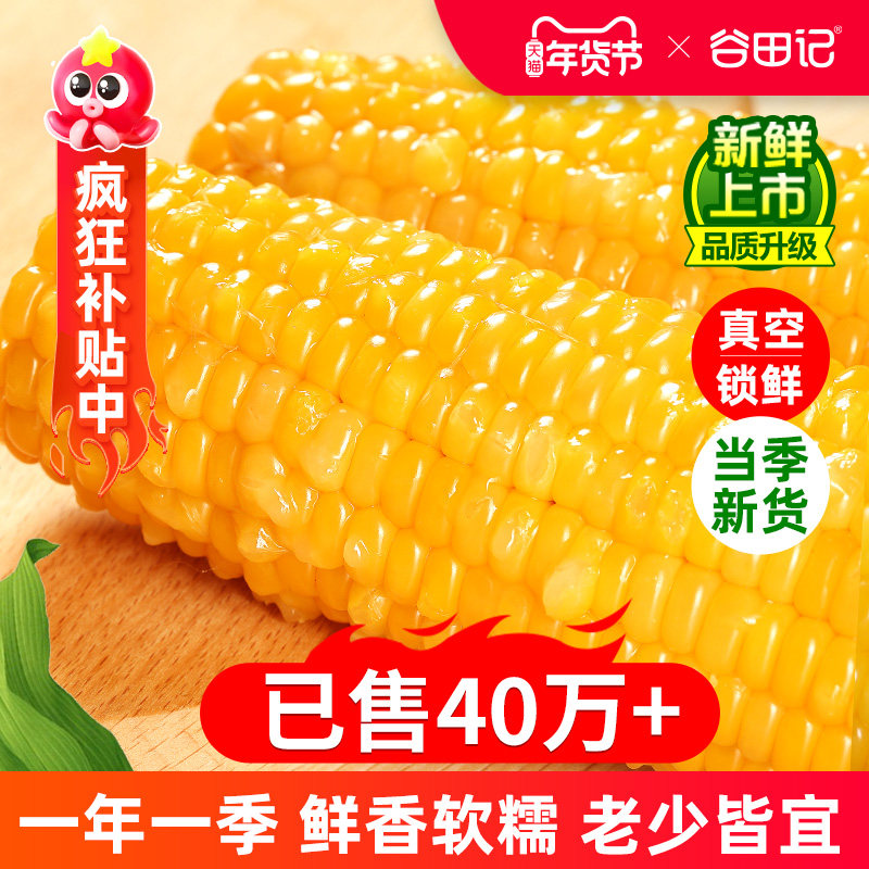 新鲜糯玉米10支黄糯大棒苞米新鲜甜粘真空装早餐非即食东北玉米