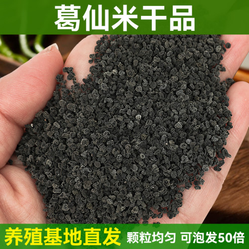 葛仙米干货特色美食湖北恩施特产葛鲜米新货酒店高档食材颗粒均匀
