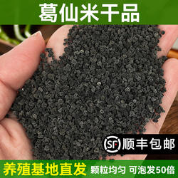 葛仙米 湖北恩施鹤峰走马今年新鲜干货田木耳正品中粒50g