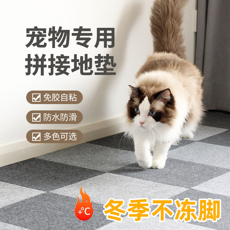 狗狗猫猫宠物防冻脚地垫防着凉防水防尿狗垫防滑静音隔音拼接地毯,家庭/个人清洁工具,地垫,淘宝优惠券,粉丝福利购,淘宝优惠卷