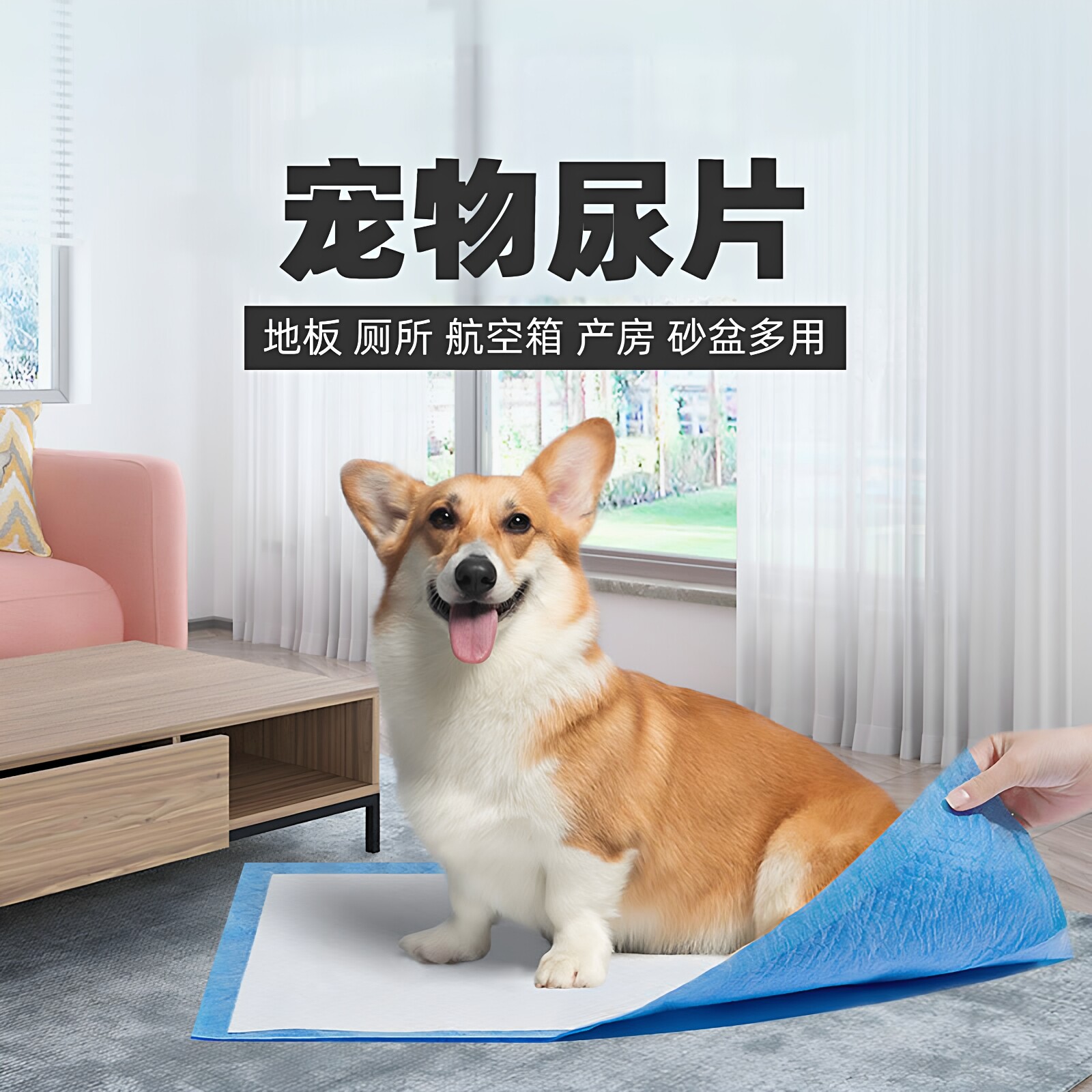 宠物狗尿垫犬用尿不湿产房吸水尿片母宠幼宠兔子猫尿垫宠物尿片