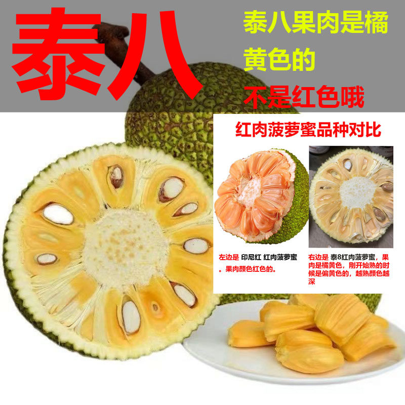 【新 泰八】6-28斤海南红肉菠萝蜜新鲜水果一整个包邮 神州果园,水产肉类/新鲜蔬果/熟食,菠萝蜜,淘宝优惠券,粉丝福利购,淘宝优惠卷