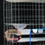 Lồng chim bồ câu lớn táo bạo cung cấp 12 chuồng nuôi 12-chuồng nuôi chim bồ câu phù hợp với lồng nuôi lồng - Chim & Chăm sóc chim Supplies thức ăn của chim bồ câu