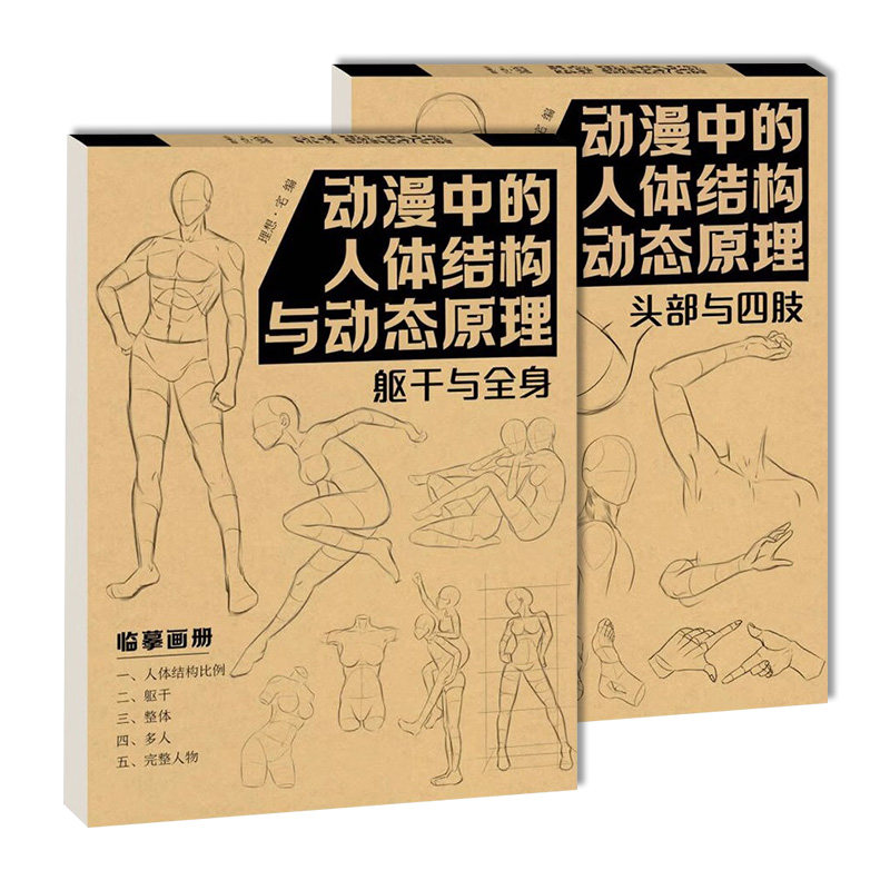 动漫中的人体结构与动态原理2本套装 躯干与全身+头部与四肢临摹画册 人体结构造型临美术练习册