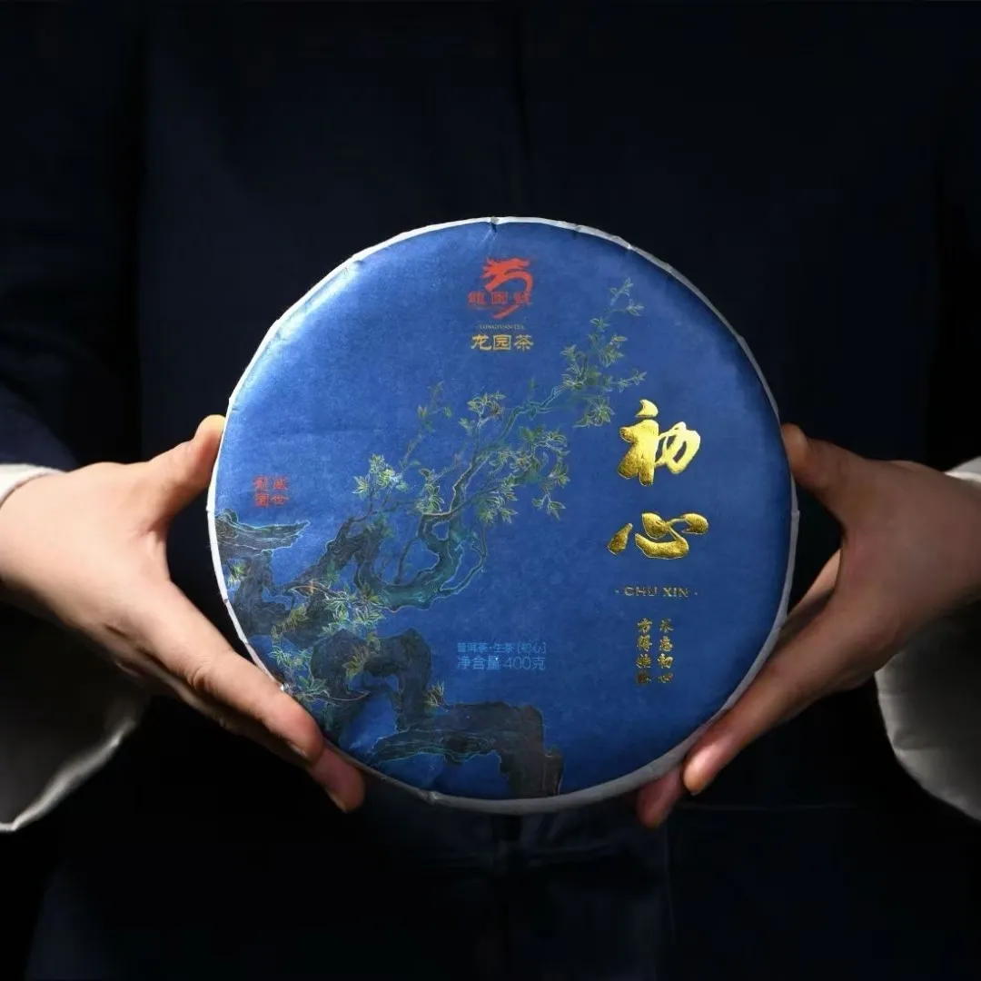 云南普洱茶 龙园号2020年初心生饼 400g 云南七子饼茶 早春茶