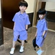 套装 帅气中大童女童一整套装 夏季 休闲运动短裤 新款 男童翻领polo衫