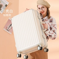 Shell White 【качественная алюминиевая рама】