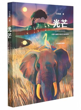 光芒生命成长励志读物青年读者在爱恨里体悟生命价值治愈内心迷茫中国友谊出版公司心灵成长励志平装书