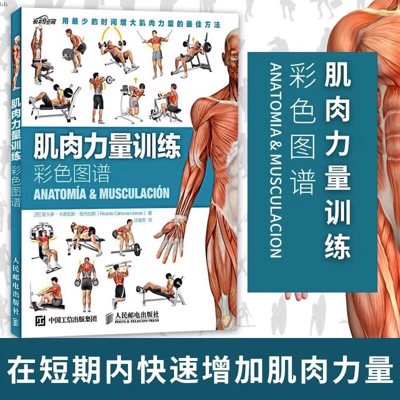 肌肉力量训练彩色图谱 肌肉锻炼指南 肌肉训练图解教程书籍 运动健身健美训练书健身书籍 科学运动健美增肌 人民邮电出版社
