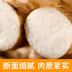 产地直发新鲜河北蠡县麻山药新鲜山药3斤20cm+