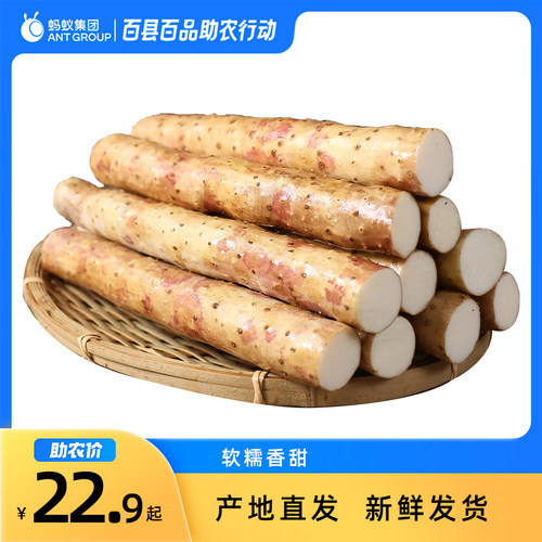 河北顺平麻山药山药3斤