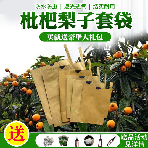 枇杷套袋芒果梨子果袋专用袋防水