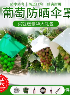 葡萄伞罩葡萄防日灼伞帽防雨防鸟遮阳伞克伦生阳光玫瑰妮娜皇后伞