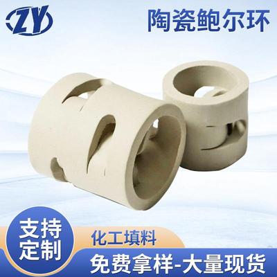 陶瓷鲍尔环散堆填料化工冷却塔陶瓷环填料废气净化塔反应吸收填料