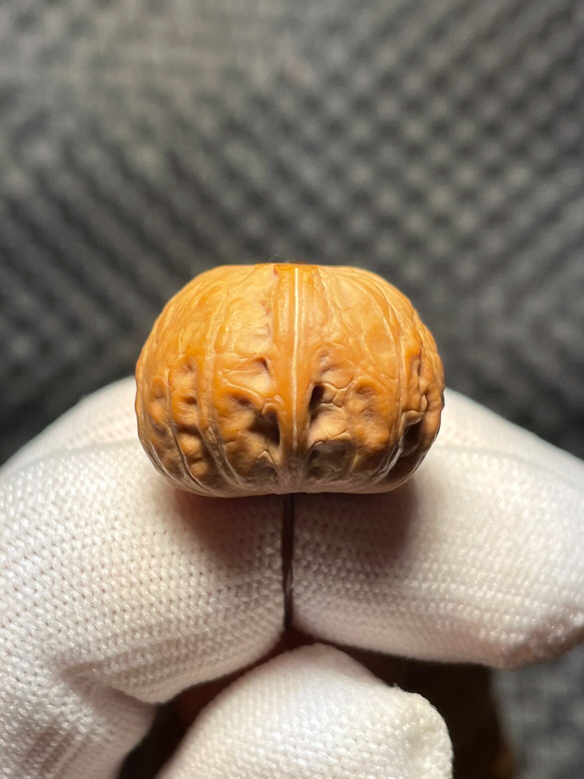 博核堂 纯野生小核桃秋子磨盘手串