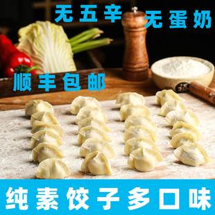 全纯净素水饺馄饨全素荠菜芹菜白菜豆腐素菜佛家速食冷冻手工饺子