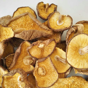 向老伯大片香菇500g 干货碎香菇碎片菇食用菌子冬菇商用煲汤食材