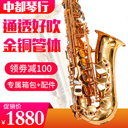 威尔诺丝萨克斯风初学中音萨克斯乐器降B调初学者成人演奏管乐器