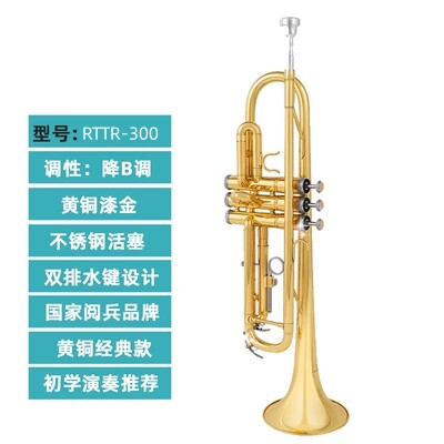 瑞斯通RTTR-300乐器降B调儿童学生初学专业演奏考级漆金乐器
