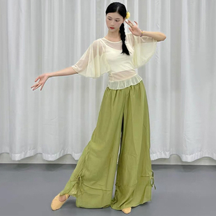 古典舞蹈服练功服集训服喇叭袖夏季仙仙的中国舞清新蓝色网纱上衣