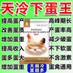 蛋多多鸡下蛋专用催蛋宝鸡鸭鹅鸽禽用催下蛋宝改善蛋质软壳蛋饲料