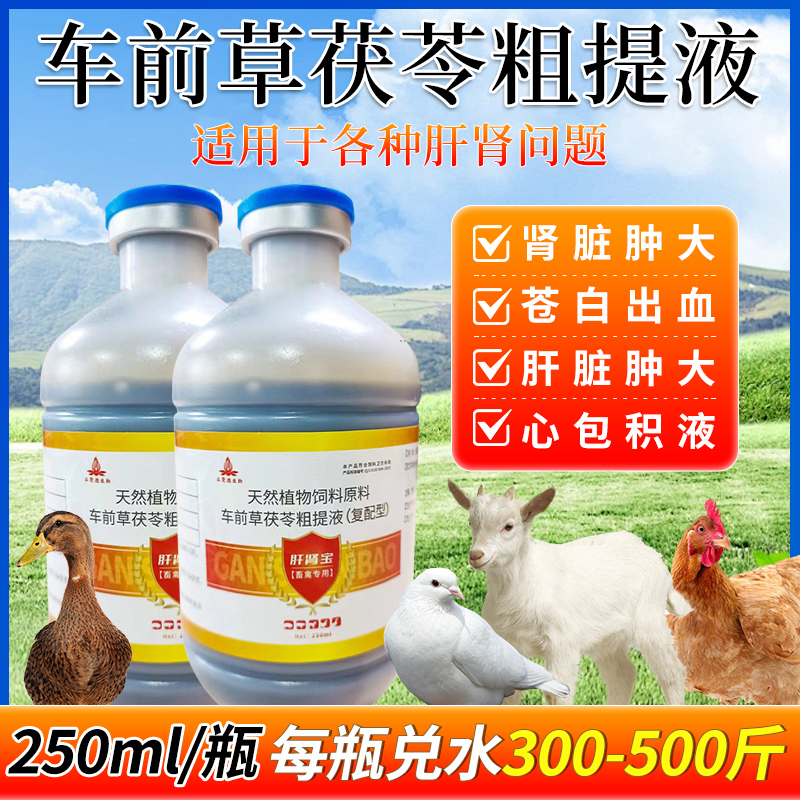 兽用车前草茯苓粗提液