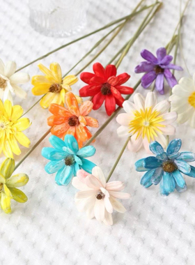 瓜子花手工干花永生花束插花小清新家居装饰摆件diy材料拍摄道具
