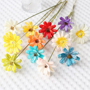 瓜子花手工干花永生花束插花小清新家居装饰摆件diy材料拍摄道具