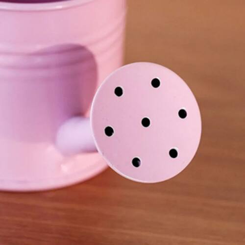 Mini Colorful Metal Watering Can Candy Color Iron Sprinkling