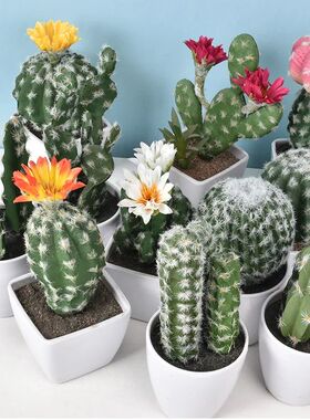 Cute Cactus Potted Mini Artificial Green Cactus DIY Microlan