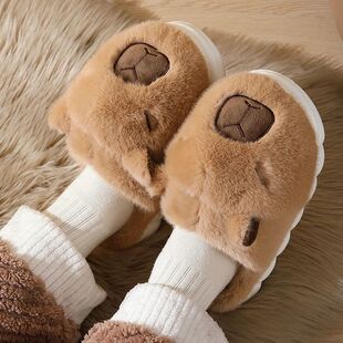 Slippers Sof Cute Cotton Winter Indoor Autumn Capybara Women