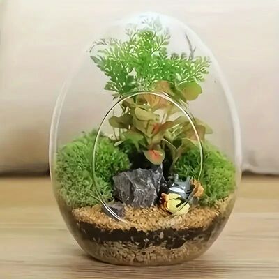 Creative Micro Landscape Transparent High Borosilicate Glass
