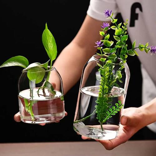Creative Hydroponic Plant Glass Simple Modern Bottle Flower