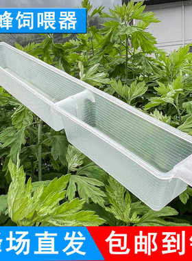 1.5公斤蜂蜜喂食器饲喂器