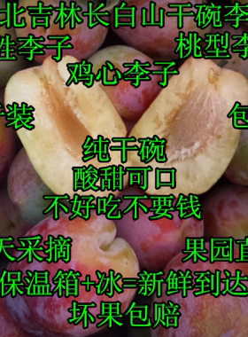 鸡心好吃吉胜桃型大红袍包邮李子