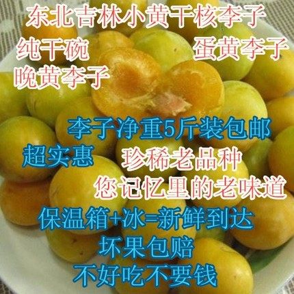 东北正宗干碗黄李子 小黄干核李子 蛋黄李子干核 2500g 5斤装包邮