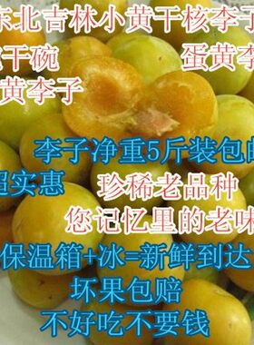 东北长白山特产新鲜黄新鲜水果