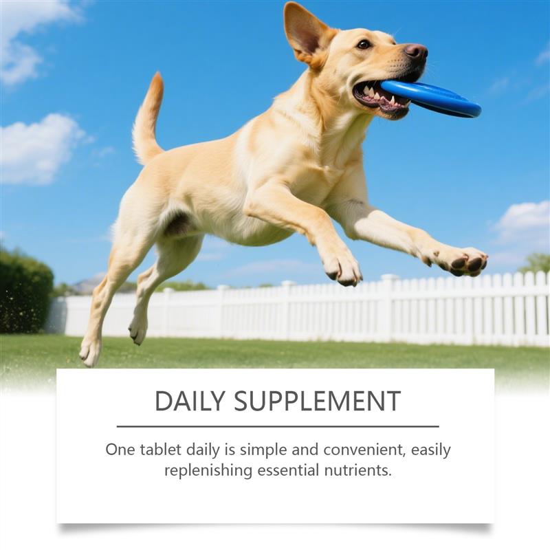 Puppy joint care supplement, nourishing dog-friendly joints