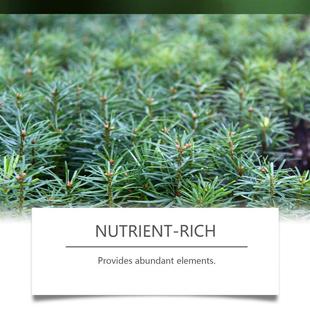 Flowers grow fertilizer, gardening plants in and out of the