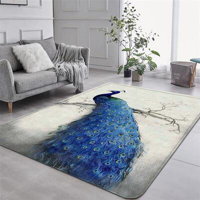 The flannel carpet room carpet camping blankets and a couple