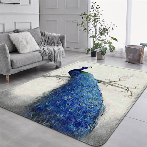 The flannel carpet room carpet camping blankets and a couple