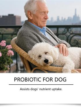 Canine care drops for fungi, dog intestinal care for warmth