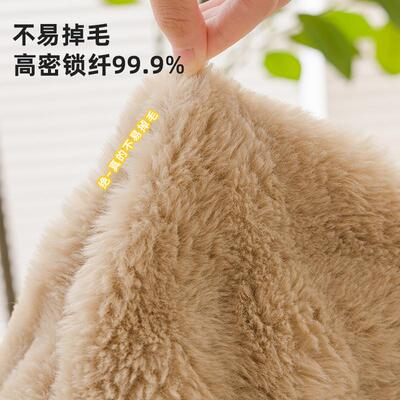 In the autumn of 2024, rabbit rabbits with a tarp and a thic