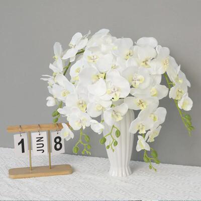 Its like a real butterfly orchid with a fancy orchid orchid