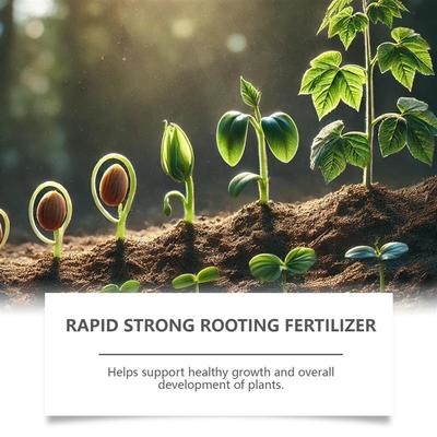 Vegetable nutrients Indoor greening flowers with horticultur