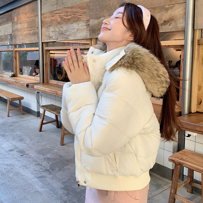 短款流行羽绒棉服女冬季