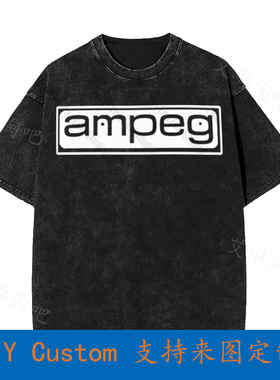 Ampeg Amps Bass Amp Guitar Logo Vintage Oversized T-Shirt OF