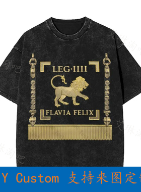 Standard Of The Lucky Flavian Fourth Legion Vexillum Of Legi