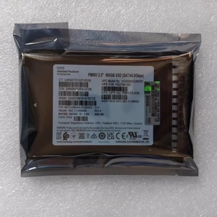 960G B21 2.5 P04564 固态硬盘 P05321 SSD SATA 001 G10